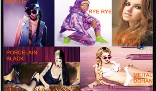 “The Next Big Thing Music” Series: Five Emerging Artists to Watch in 2012